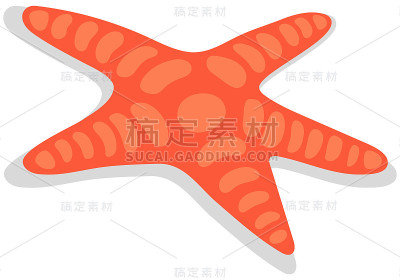 海星孤立在白色背景上。代表海洋水下世界为夏季设计