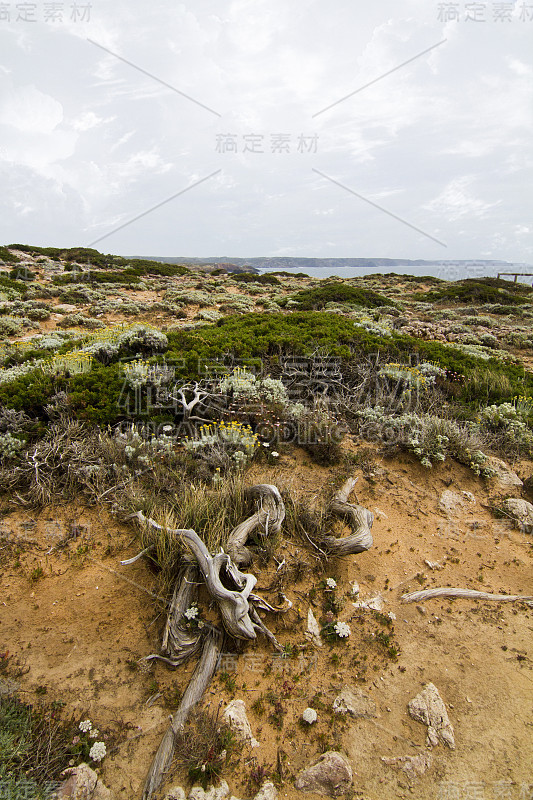 美丽的萨格雷斯海岸线