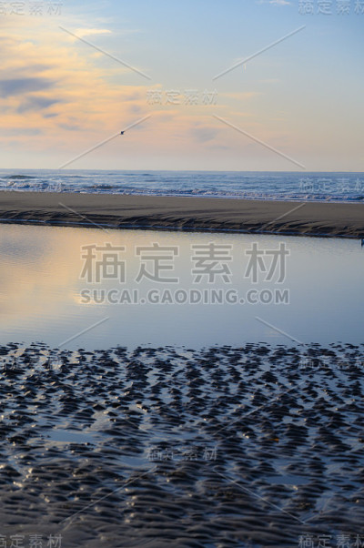 荷兰景观，在荷兰Castricum aan Zee附近的北海沙滩，退潮时