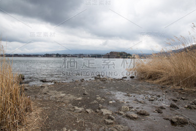 川口湖的金色田野，下雨前多云