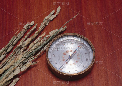 大米和指南针