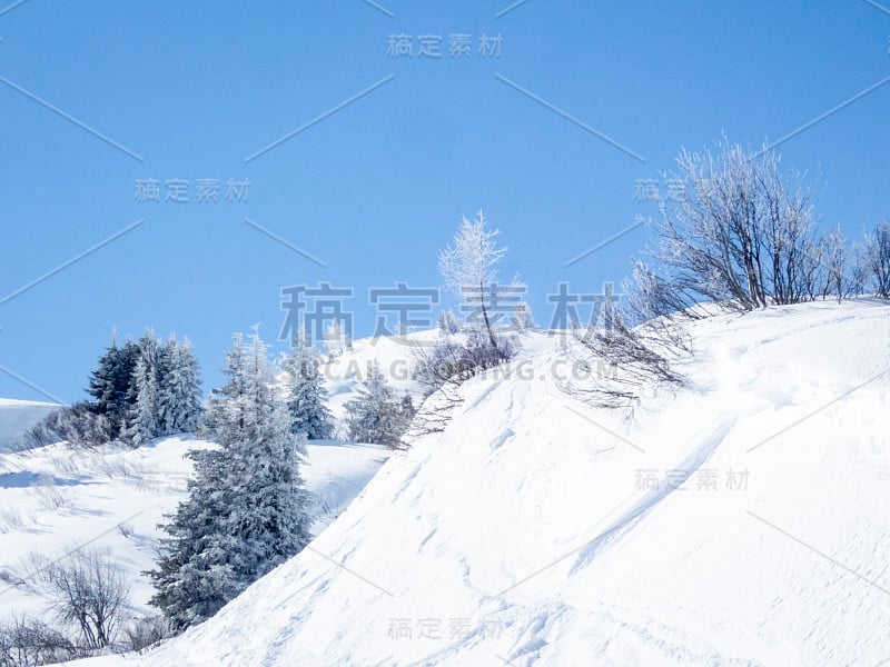 在一个阳光明媚的早晨，阿尔卑斯山上的树木被冰雪覆盖