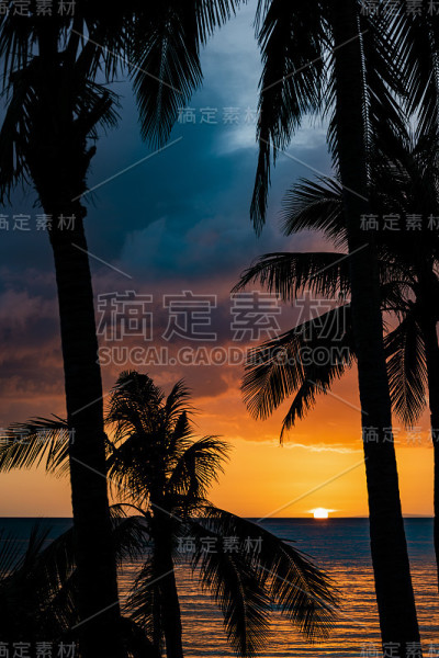 (选择性聚焦)惊人的景色，一个戏剧性的日落在背景和椰子树的剪影在前景。白沙滩，长滩岛，菲律宾。