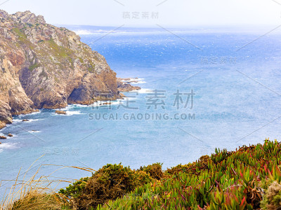 葡萄牙万寿菊2000
