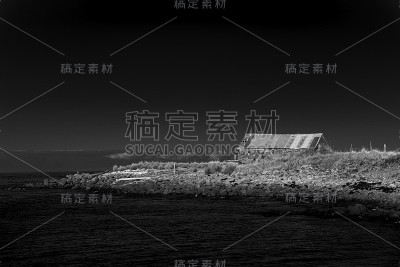 斯旺西孤独