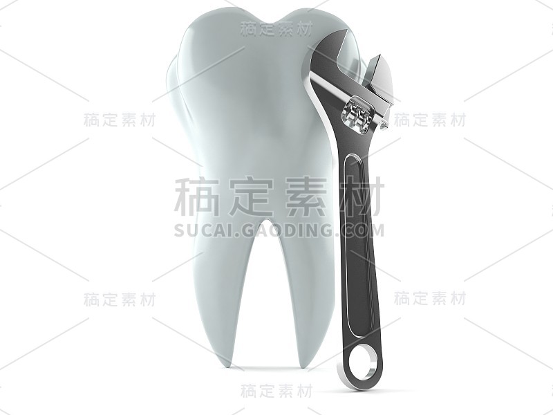 带活动扳手的齿
