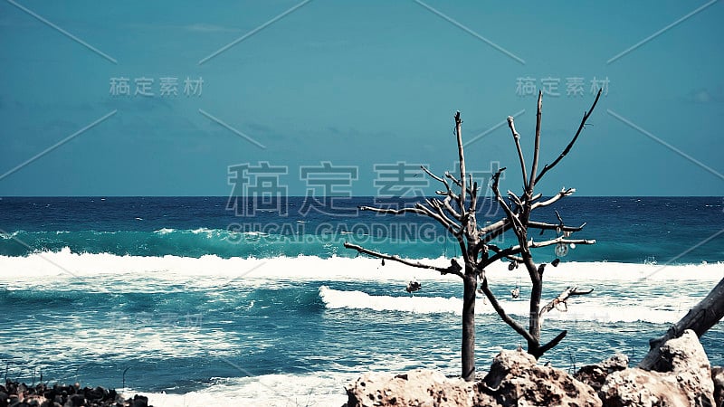 墨西哥加勒比海的海景