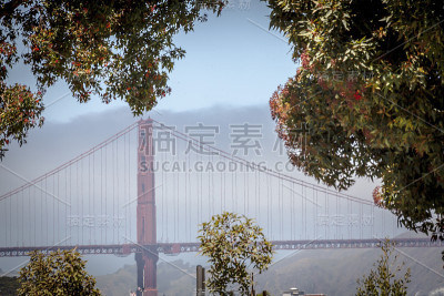 横跨旧金山湾的金门大桥