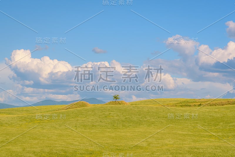 晚春的托斯卡纳风景。