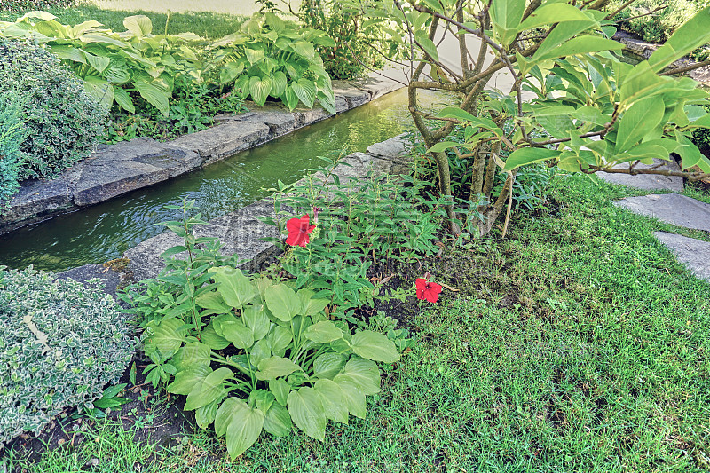 花园里装饰着红花、小径和流水