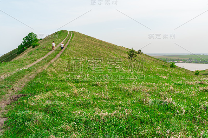 一条小路中间是绿油油的草地，一派宜人的夏日风光，俄罗斯的自然风光