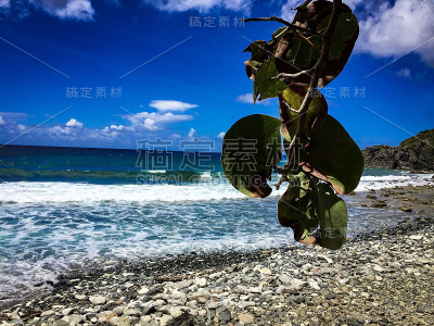 海滩阴凉处