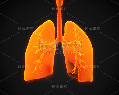 肺癌和支气管