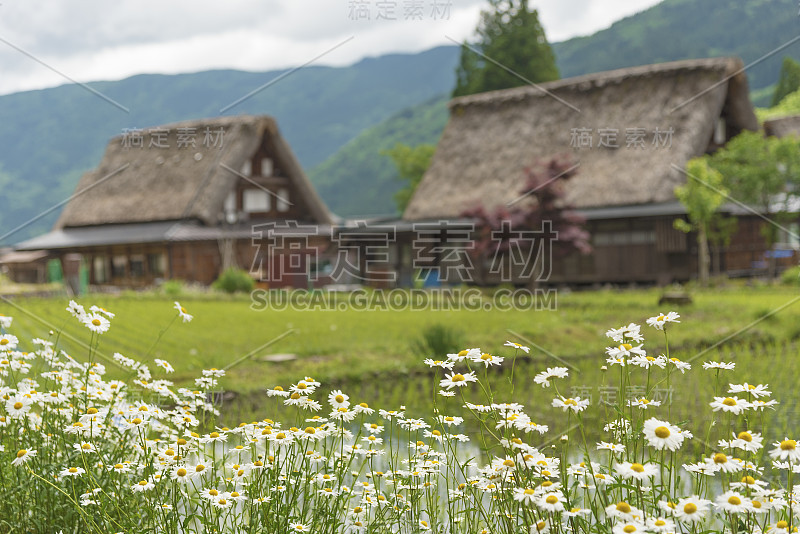 日本田园诗般的风景