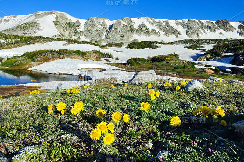 高山草甸，野花盛开，湖泊倒影