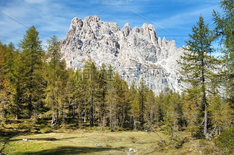 Larch wood, Cima Ambrizzola和Croda da Lago