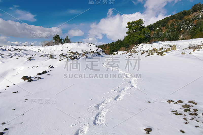 在西西里的埃特纳公园，冬天刚下过的雪上留下了雪鞋的脚印