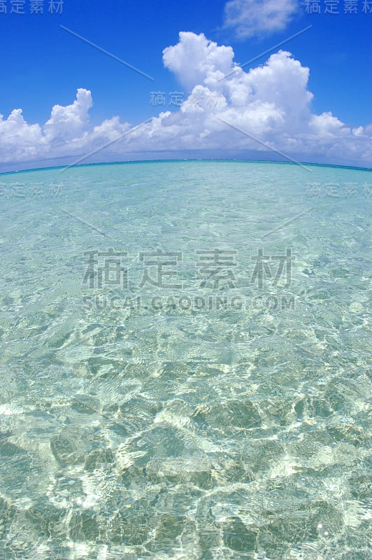 海