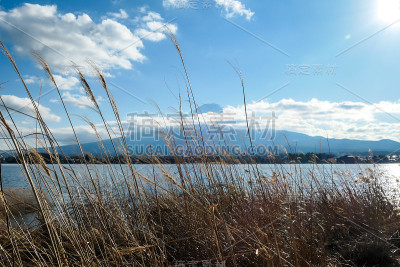 日本——从川口湖眺望富士山的田园诗般的景色
