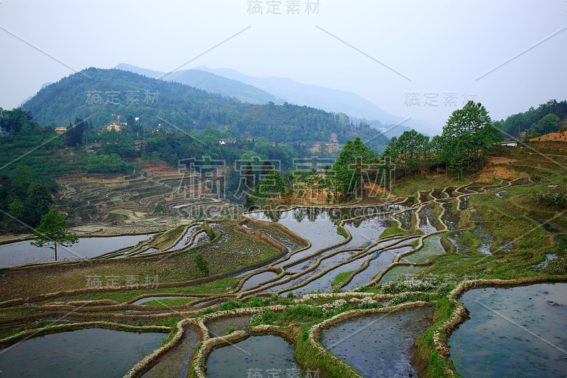 中国的梯田景观