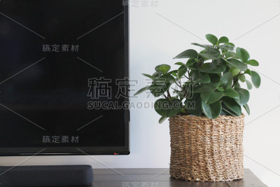 室内植物装饰创意旁边的平板电视和声音吧