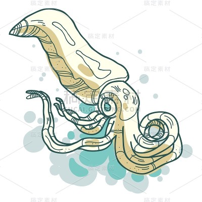 向量鱿鱼