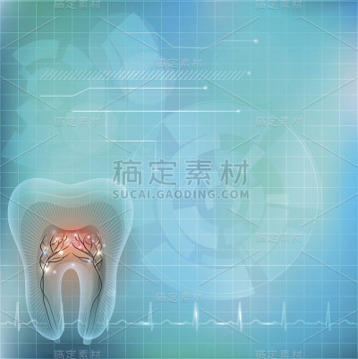 美丽透明的齿横截面