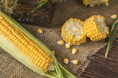 新鲜的玉米棒放在质朴的木桌上，俯视图。深色木质背景新鲜收获的有机玉米。
