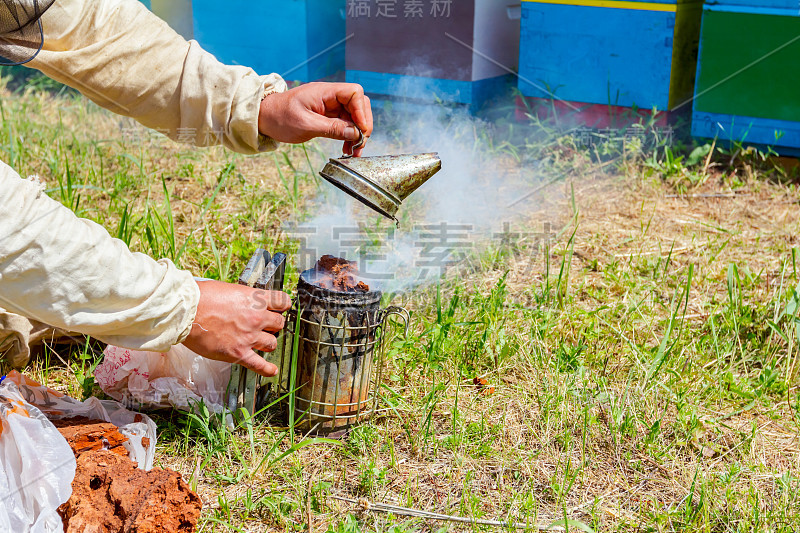 养蜂人，养蜂人准备在蜂巢上使用的烟熏器