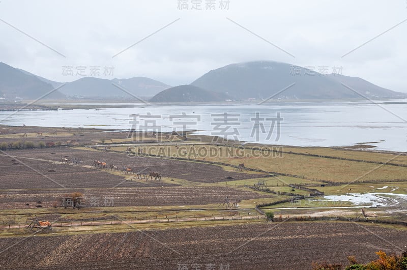 高地,香格里拉