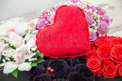 美丽的花朵