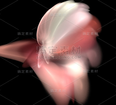一个数字分形在黑色上的图像