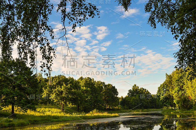 美丽的湖景。清晨。夏天。俄罗斯。莫斯科地区。