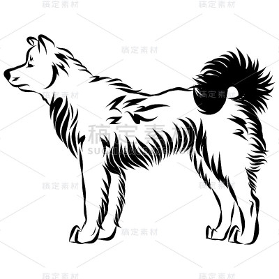 狗狗秋田的矢量图像
