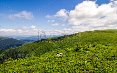 晴朗的夏日，山坡上长满草的草地