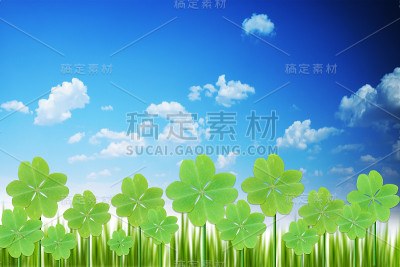 三叶草地或三叶草与绿色的蓝天下