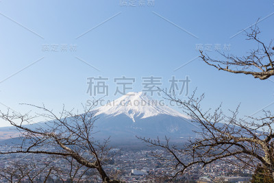 富士山和树前景，冬季