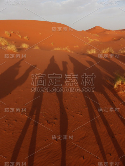 Erg Chebbi, Merzouga，撒哈拉沙漠，摩洛哥。