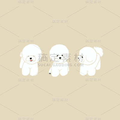 毛绒绒的白色迪斯科狗