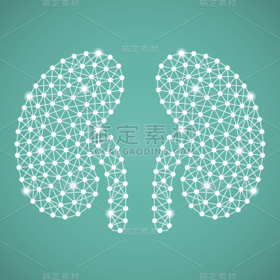 在黑色背景下分离的人类肾脏。矢量图