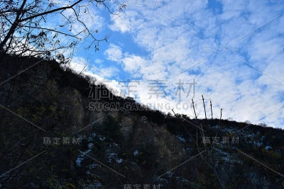 马其顿的性质。石竹(石竹)山地森林