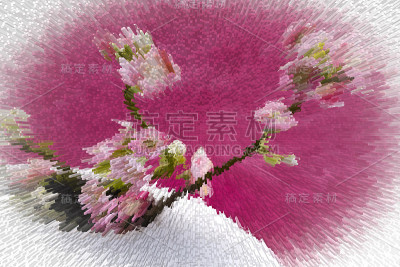 淡紫色背景上的樱花。过滤器。健美的。