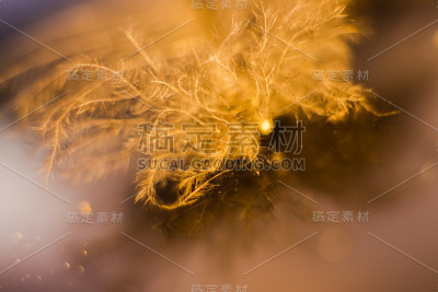 封面图标