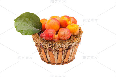 孤立的杏篮子