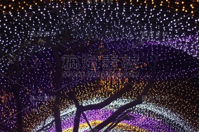 五彩缤纷的灯光和圣诞树背景，灯光抽象艺术，庆祝节日的季节。