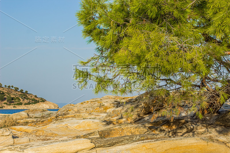 美丽的沙石嶙峋的山丘上有生动的绿树，南希腊风景如画，靠近地中海宁静的海湾岸线