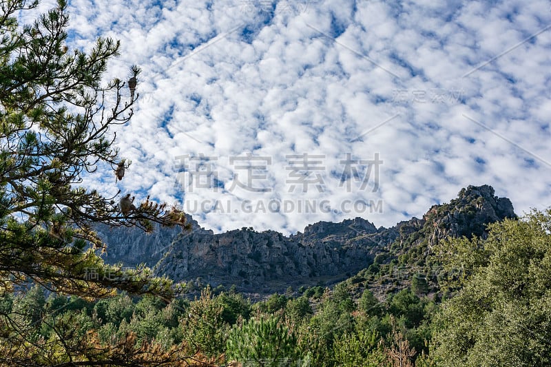 内华达山脉的高山景观