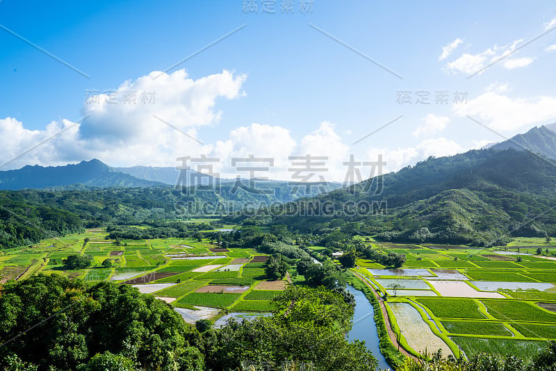 夏威夷考艾岛的农田