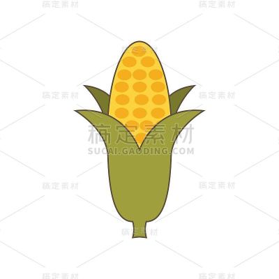 食品设计