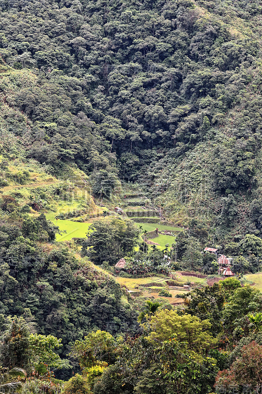 Batad村-从小屋地区看大米梯田。Banaue-Ifugao-Luzon-Phlippines。0